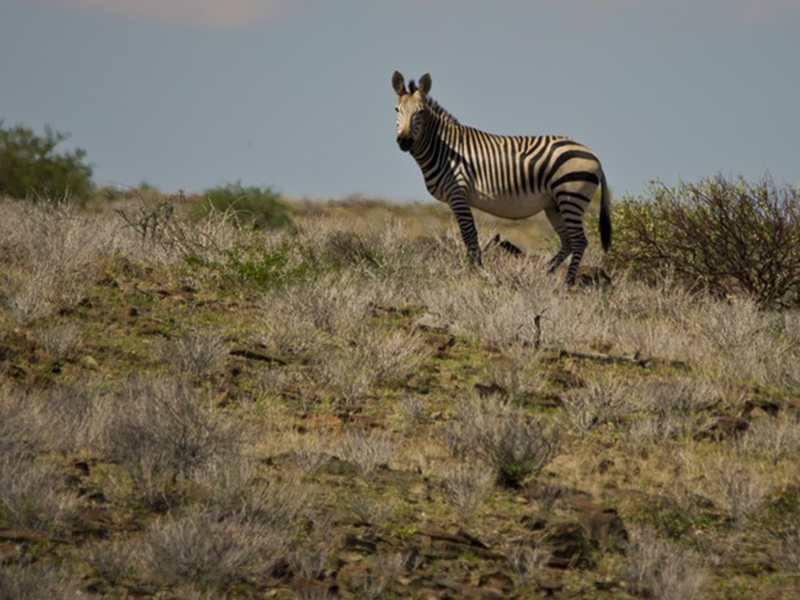 namibia tours