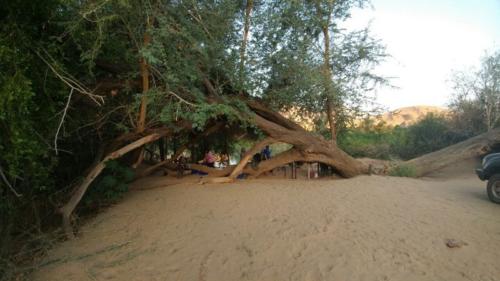 Namib Desert 4x4 tour