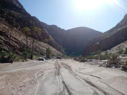 Namib Desert 4x4 tour