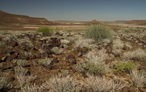 Namib Desert 4x4 tour