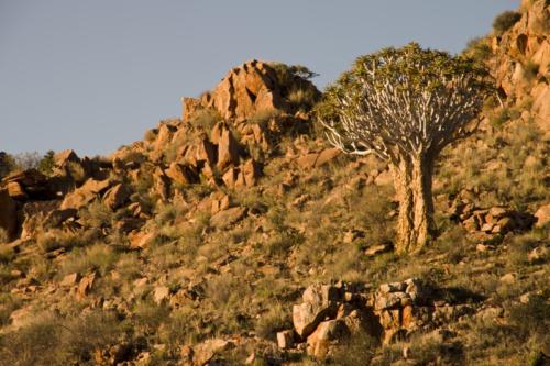 namibia tours and safaris