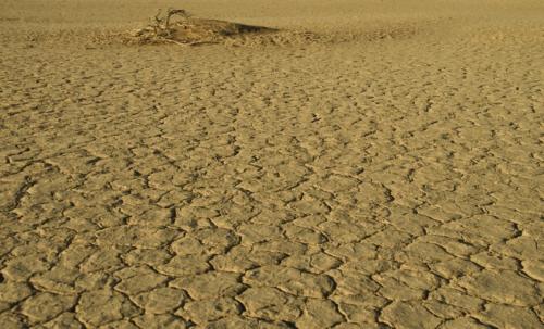 namibia tours and safaris
