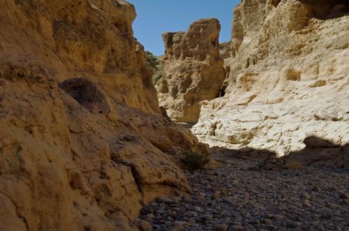 namibia tours and safaris