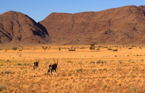 namibia tours and safaris