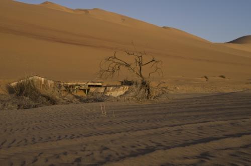 namibia tours and safaris