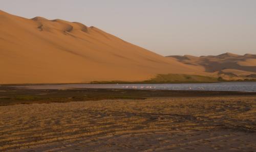 namibia tours and safaris