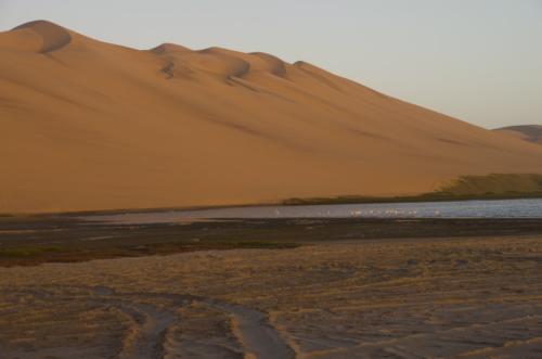 namibia tours and safaris