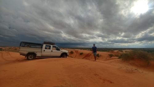 safaris in namibia