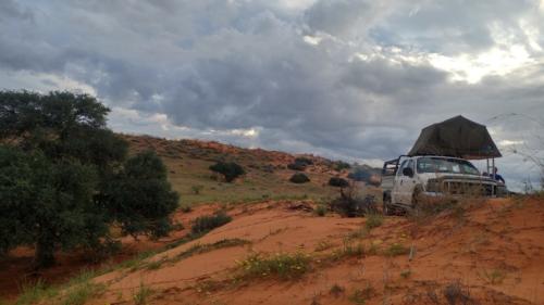 safaris in namibia