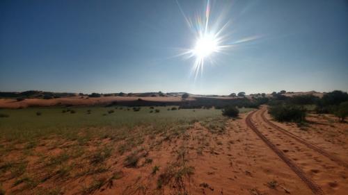 kalahari tour