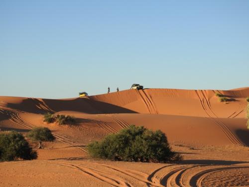 kalahari tour