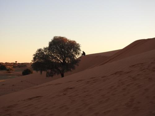 Namib Desert 4x4 tour