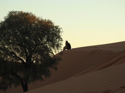 Namib Desert 4x4 tour
