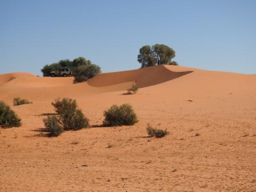 Namib Desert 4x4 tour