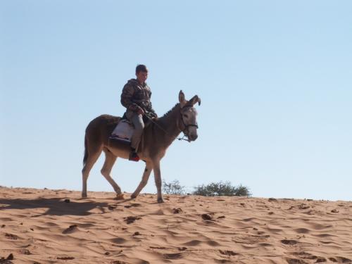 namibia tours and safaris
