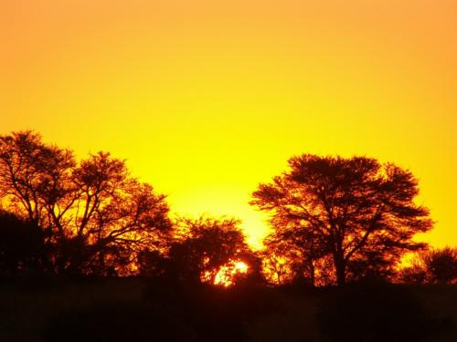 namibia tours and safaris