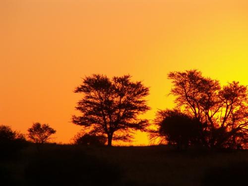 namibia tours and safaris