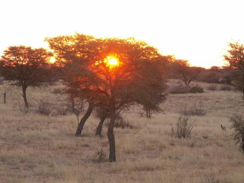 namibia tours and safaris
