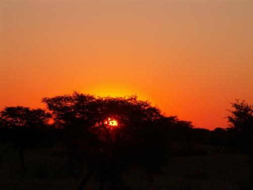 namibia tours and safaris