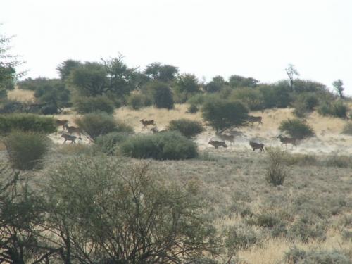 Namibia tours