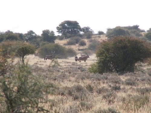 Namibia tours