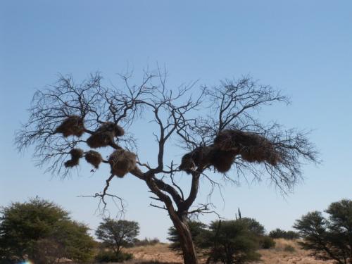 Namibia tours