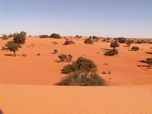 Namibia tours