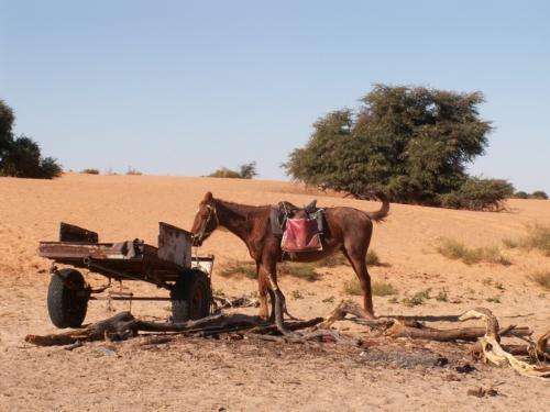 Namibia tours
