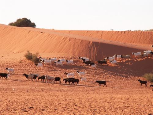 Namibia tours