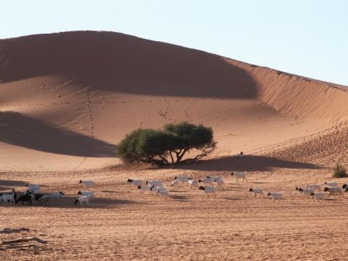 Namibia tours
