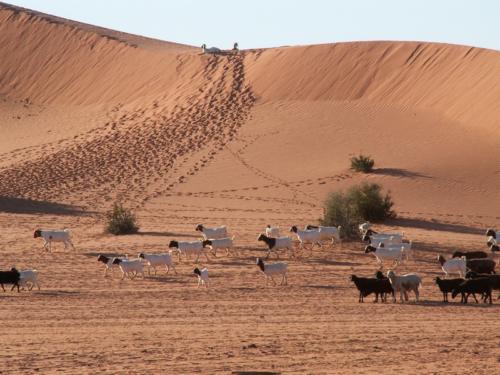 Namibia tours