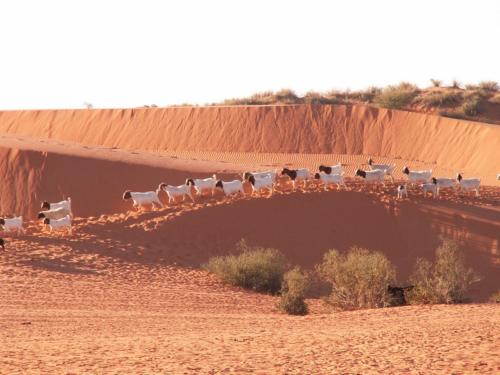 Namibia tours
