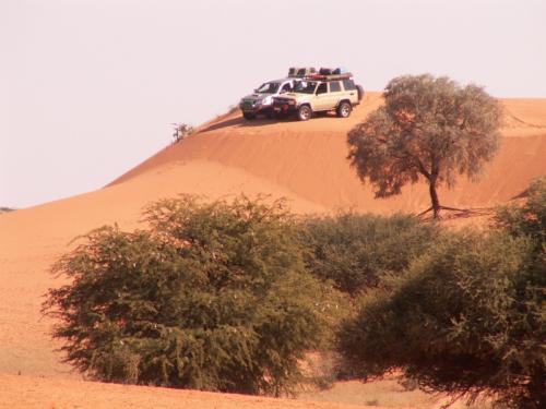 safaris in namibia