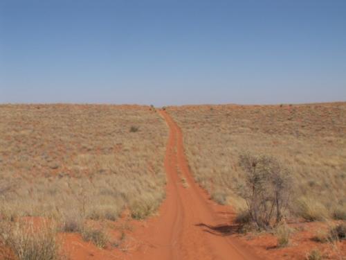 safaris in namibia
