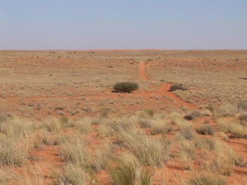 safaris in namibia