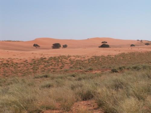 safaris in namibia