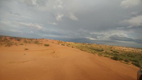 safaris in namibia